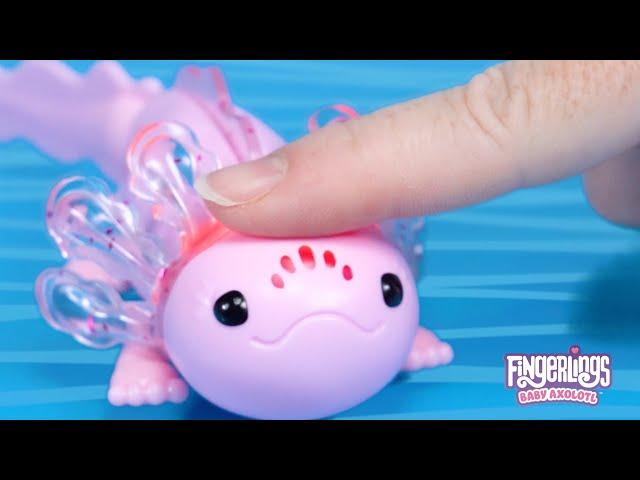 Fingerlings Baby Axolotl - How to Play in & out of the water