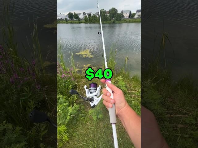 Best Fishing Combo for $40 dollars!