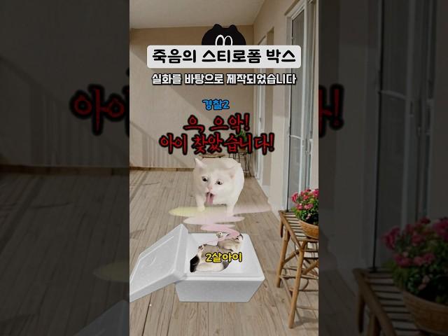 베란다에 6개월간 방치된 박스