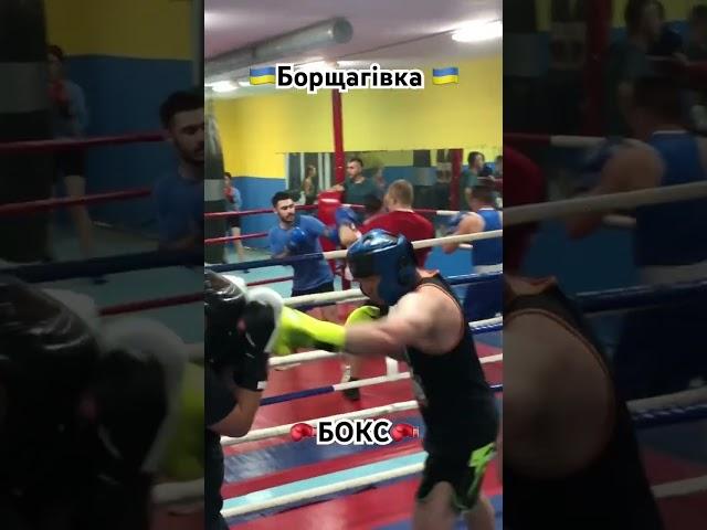 Бокс на Борщагівці @boxing_ua