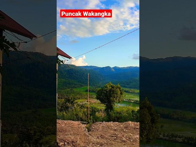 Indahnya Pemandangan Puncak Wakangka