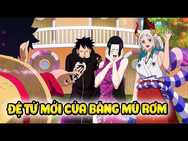 Sanji Có Con Trai, Đệ  Tử Mới Của Băng Mũ Rơm