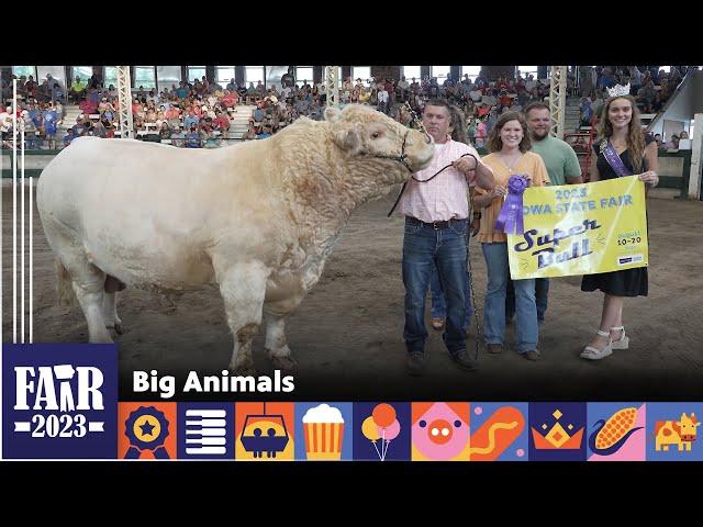 Big Animals – Fair 2023