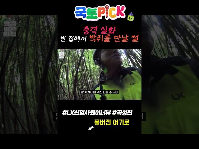 [LXTV 10주년] 측량현장에서 빈집을 조심해야 할 이유 #박쥐 #다크나이트 #지적측량 #lx공사 #충격 #공포 #스릴러