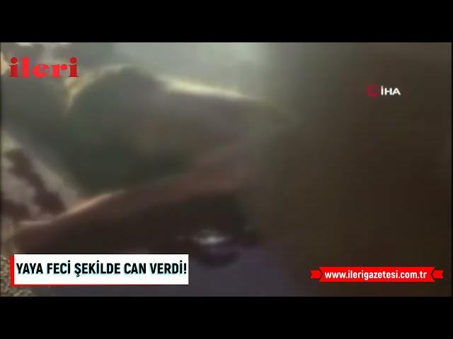 Yaya feci şekilde can verdi! | İleri Gazetesi