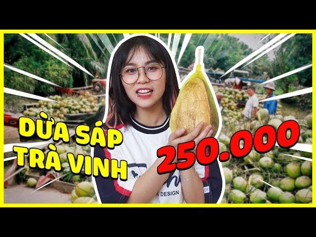 Misthy: “Trà Vinh và trái dừa mắc nhất” || THY ƠI MÀY ĐI ĐÂU ĐẤY ???