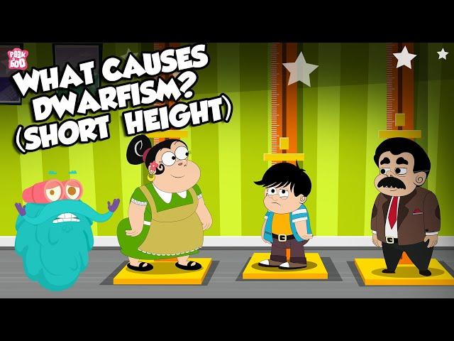 What Causes Dwarfism? | Growth Disorder | The Dr Binocs Show | Peekaboo Kidz