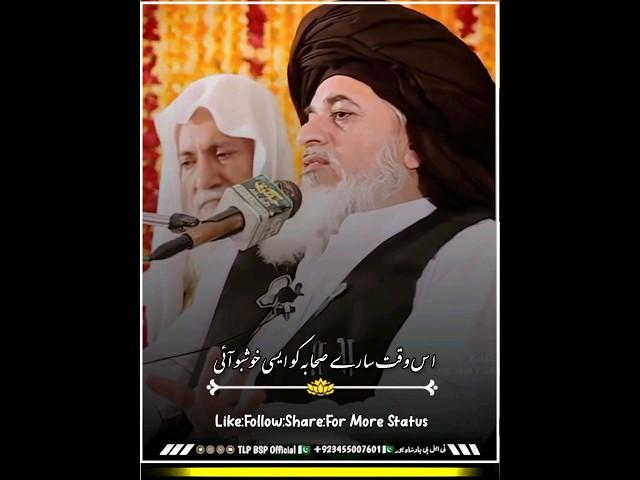 Hazoor ﷺ See Aisi khushbu i | Allama Khadim Hussain Rizvi | Rabi ul Noor Sharif | #tlpbspofficial