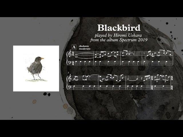Blackbird - Hiromi Uehara ( Piano Transcription )