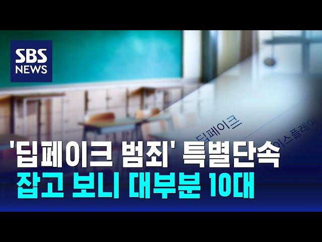 '딥페이크 범죄' 특별단속…잡고 보니 대부분 10대 청소년 / SBS