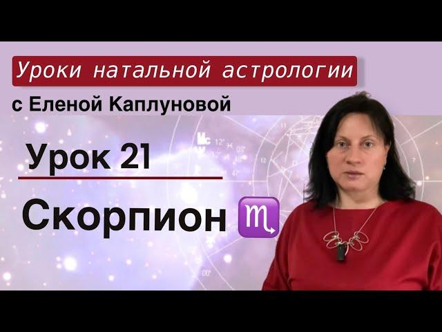 Урок 21. Скорпион
