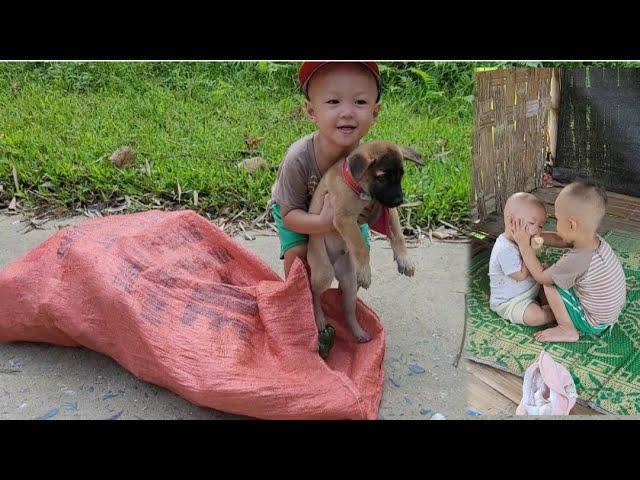 The boy found the dog in the trash pile / ly tam ca