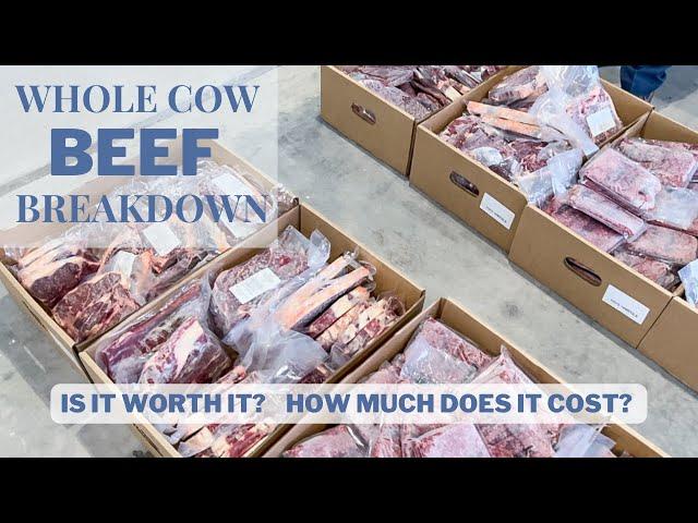 WHOLE COW BEEF BREAKDOWN | Cost? Cuts of meat? How much meat? #beef #homesteading #localfood