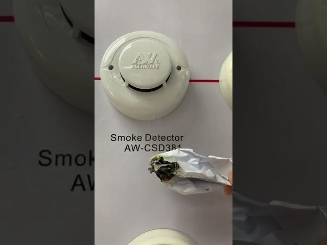Smoke Detector Test