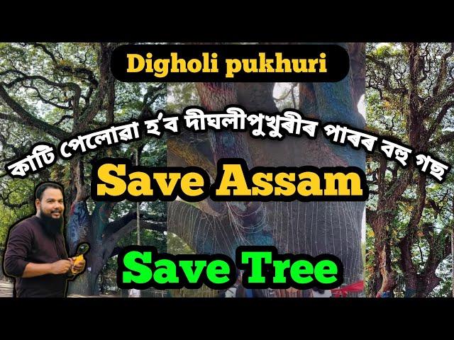 গুৱাহাটী Digholi pukhuri | Tree Chopped in Dighali Pukhuri | Guwahati city