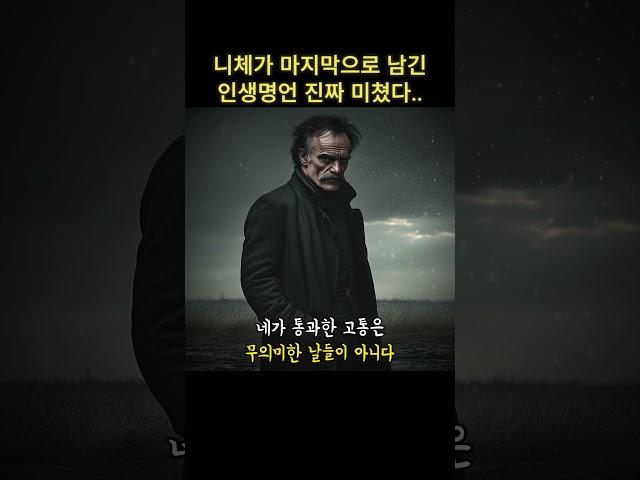 니체가 마지막으로 남긴 인생명언 진짜 미쳤다.. #쇼펜하우어 #니체 #석가모니 #맹자 #명언 #인생조언 #철학 #좋은글 #좋은말 #좋은글귀