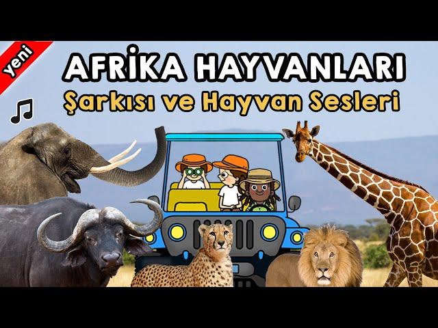 Safari - Afrika Hayvanları Şarkısı ve Hayvan Sesleri