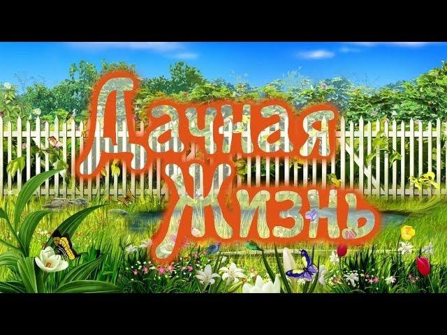 Документально-художественный фильм "Дачная Жизнь"