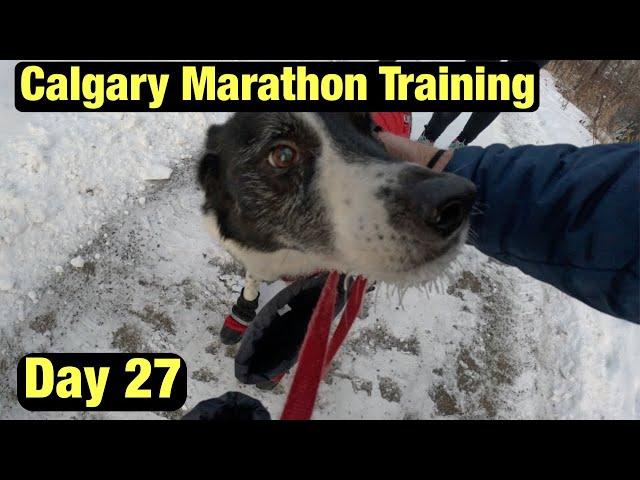 Calgary Marathon Training Vlog || Day 27 For the pups!