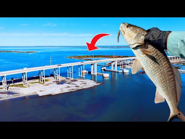 Secret to catching a LIMIT! Fishing Corpus Christi!!