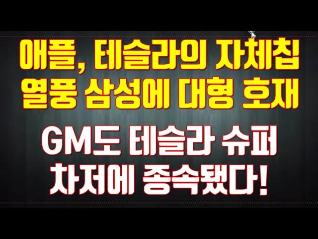 애플, 테슬라의 자체칩열풍 삼성에 대형 호재 GM도 테슬라 슈퍼차저에 종속됐다!