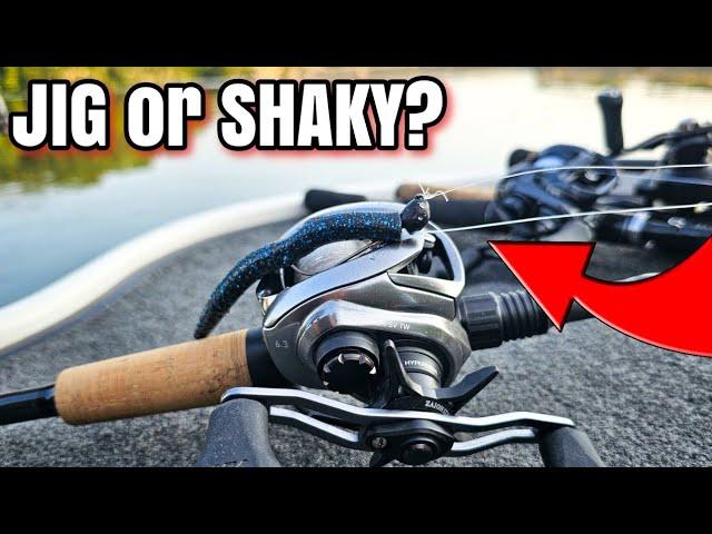 Jigs vs Shaky Head for Bass (One Was FIRE!)