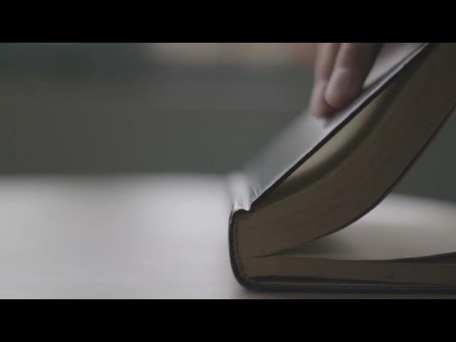 Browsing The book - Free Video Background