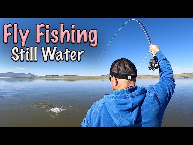 BIG TROUT LIVE HERE - Fly Fishing Spinney Mountain Reservoir