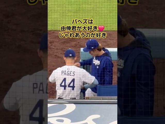 #パヘズ#ドジャース#山本由伸