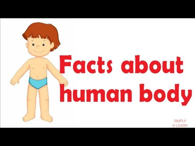 Human body facts for kids - children - facts about human body - Simply E-learn Kids