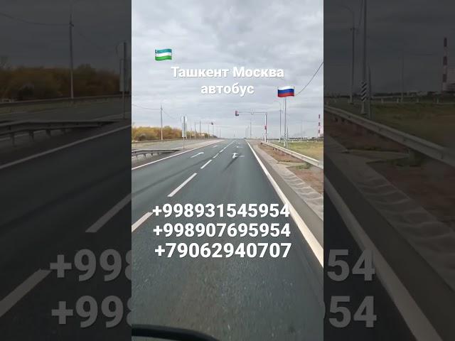 #узбекистан #россия #автобус