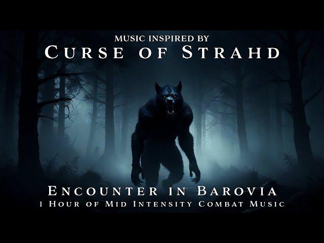 Encounter in Barovia | Unofficial Curse of Strahd Soundtrack | 1h TTRPG Combat Music | Loop