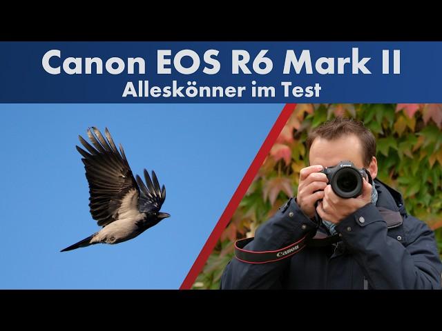 Canon EOS R6 Mark II | Der neue Star für Sport- & Tierfotografie? [Deutsch]