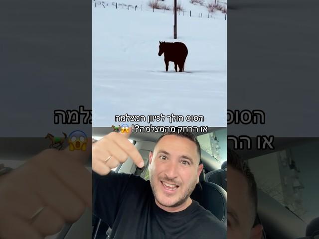 אל תסתכלו בתגובות! לאיזה כיוון הסוס הולך? 