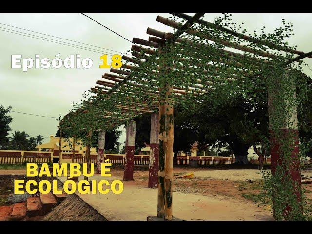 Episódio 18- Bambu é ecológico – Arquitecto Vino – Morrumbene