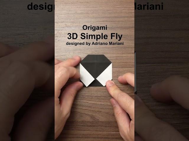 ORIGAMI FLY (Adriano Mariani) #shorts