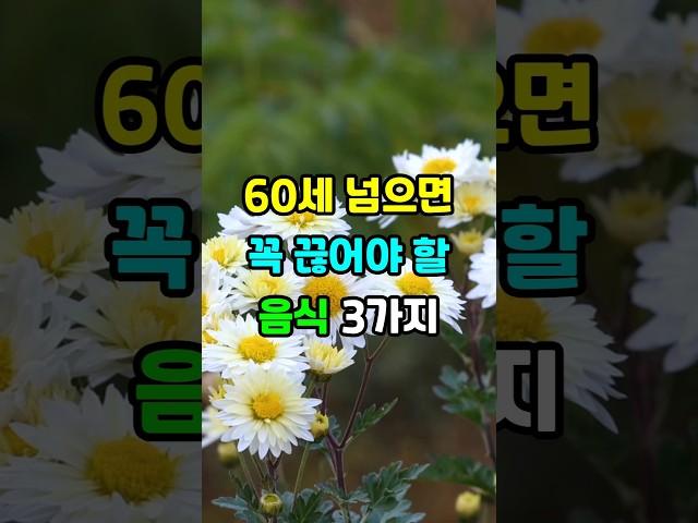 60세 넘으면 꼭 끊어야 할 3가지 #노후지혜 #건강조언 #명언 #좋은글