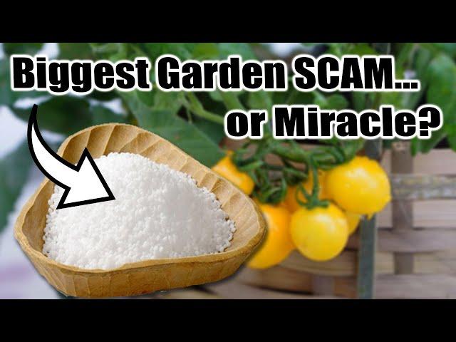 Hidden Dangers of EPSOM SALT in the Garden