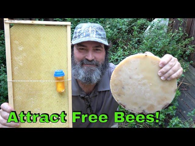 How To Attract Bees To Your Bee Box