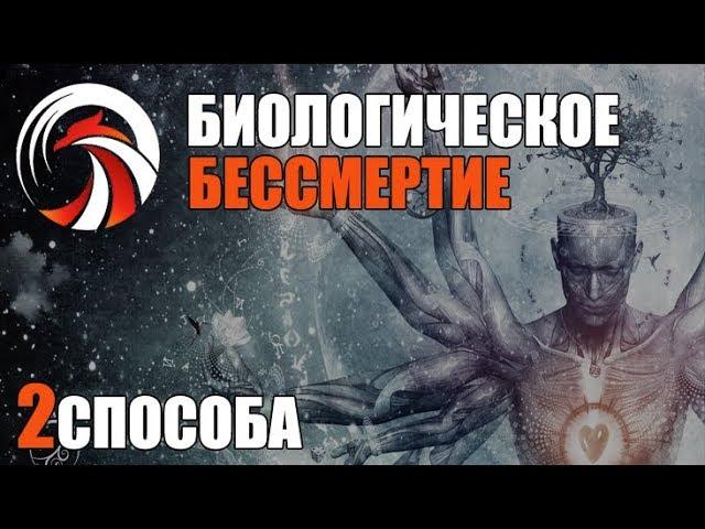 Как Стать БЕССМЕРТНЫМ (биологическое бессмертие)