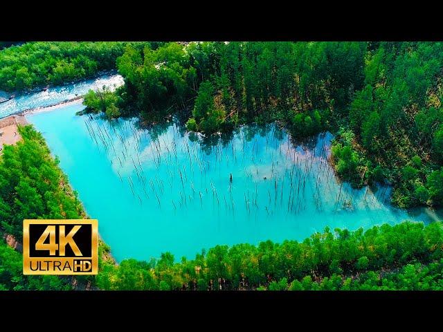 Biei”Blue Pond" Hokkaido Japan