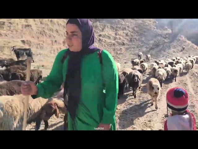 The past of a single mother who shepherded in the inaccessible mountains.