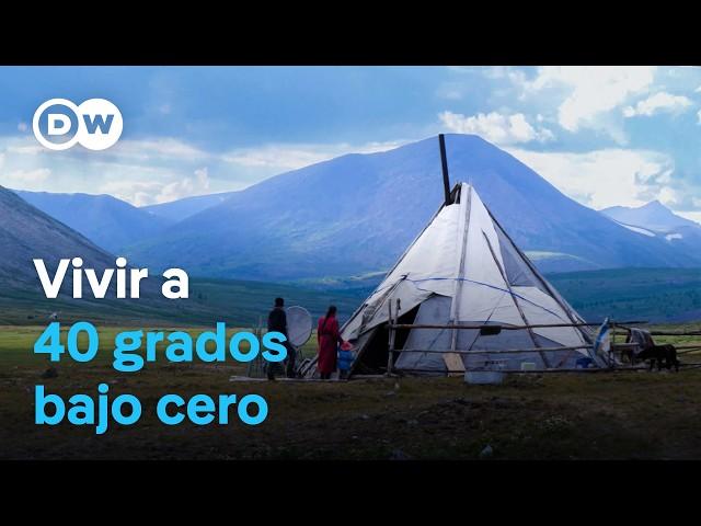 Los últimos nómadas de renos de Mongolia | DW Documental