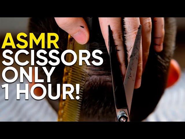 ASMR BARBER  Scissors Only - 1 Hour! No Talking! Part 1