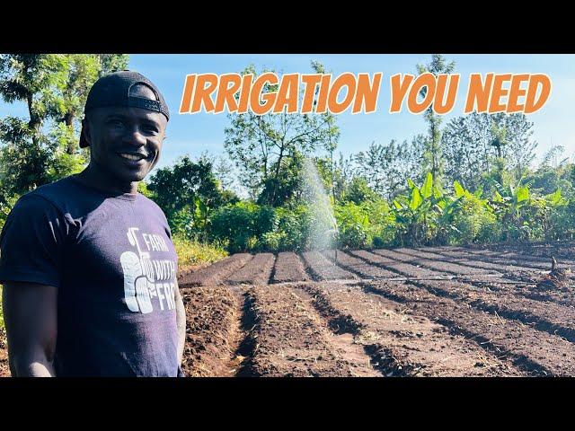 Best irrigation system. Things to know when choosing irrigation method