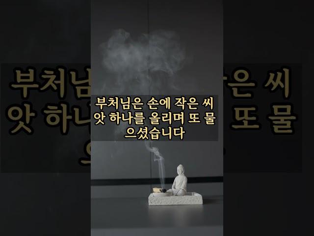 왜 어떤 사람은 운이 따르고, 나는 그렇지 않을까? 이 질문을 품고 살아온 당신에게 전하는,부처님의 깊은 비유 한 편|철학의 정원 #명언 #부자의삶 #가치관