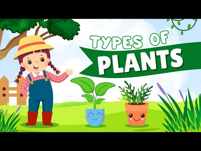 Kids Educational Videos | Kindergarten and Elementary ENGLISH Math SCIENCE |  Learn Types of Plants!