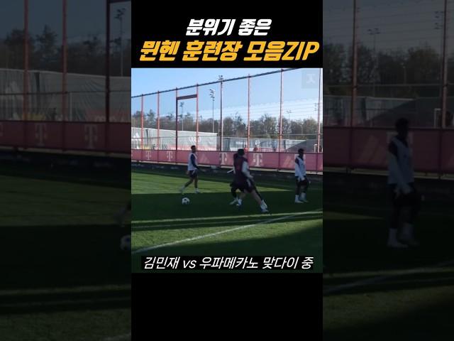분위기 좋은 바이에른 뮌헨 훈련장 모음집