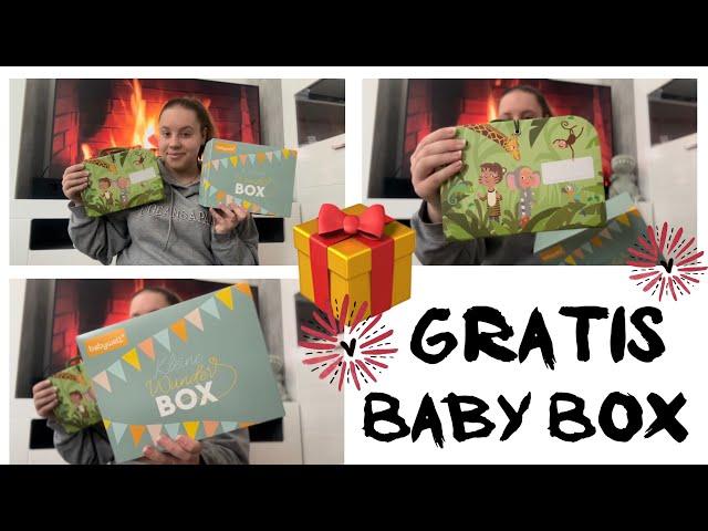 Gratis Baby Box  // dm, Rossmann, Lidl, Kaufland & HIPP  // 2023 // alinaBerry