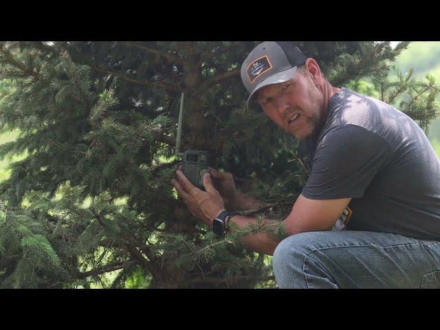 How to Activate Your SPYPOINT LM2 | Trail Cameras | SPYPOINT